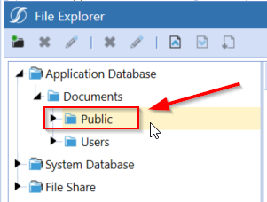 Public Folder.png
